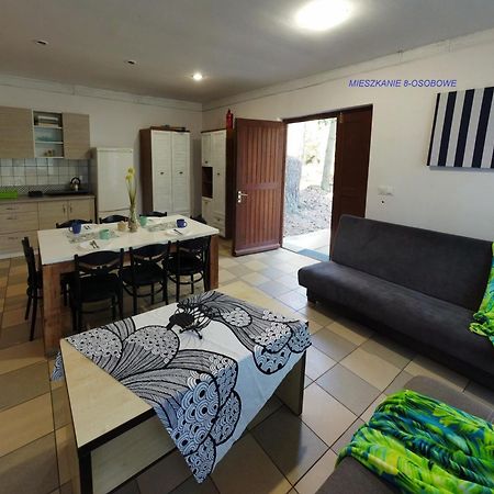 Borowno Wielkie Skarszewy Domek Letniskowy - Apartamenty Letniskowe Exterior foto